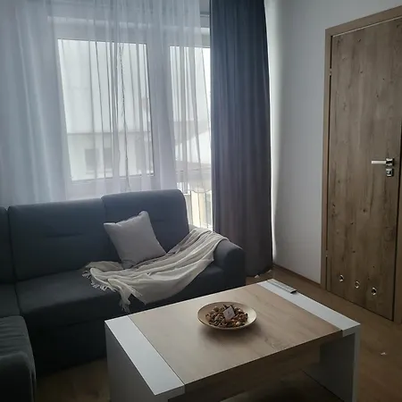 Za Rynkiem Apartment Tylicz